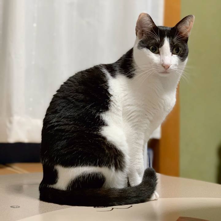 D291eafc fe37 45b7 81fa d012c463df35 1539826513314