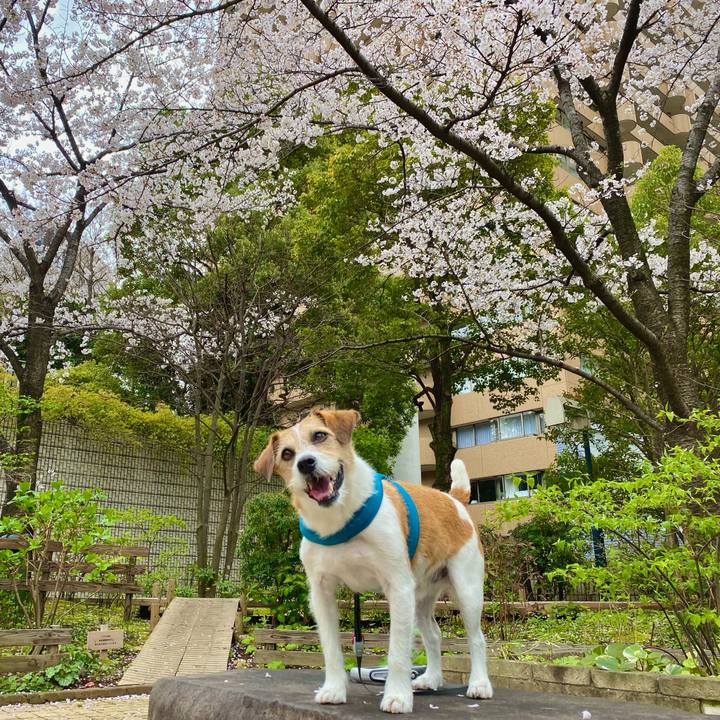 D2920230 af1b 4011 bc9b dd11399a1fe9 1679754960764