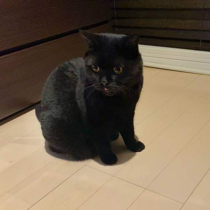 D2920607 58f9 4f37 9868 a1d51db8968d 1690202227965