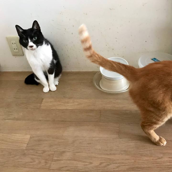 D2921646 be52 47d4 b539 0bfe72cf8357 1561616436619