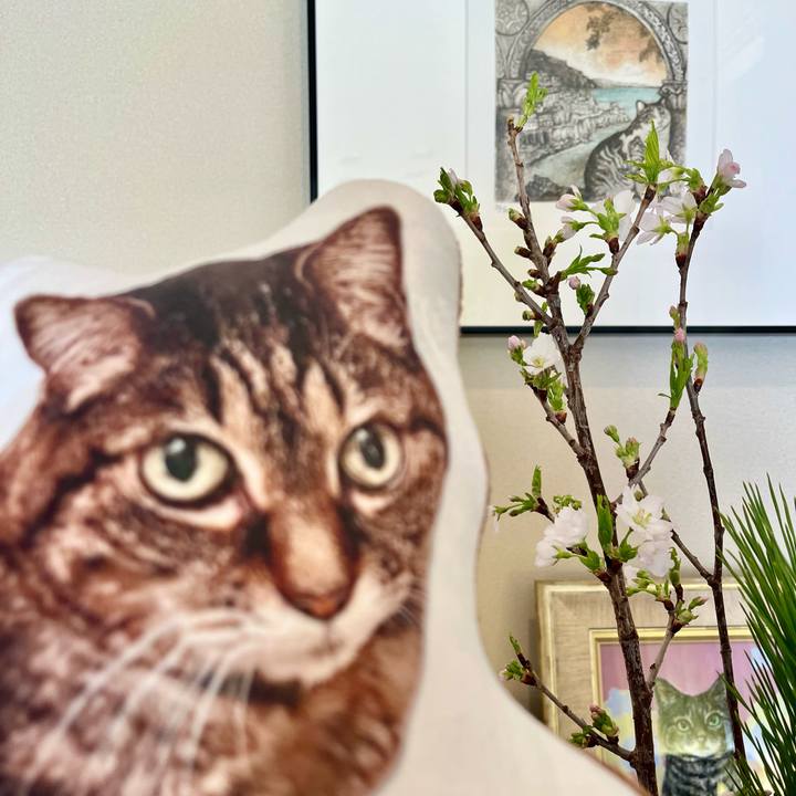 D292209b f93a 4ce5 bca4 246b60846848 1767403885010