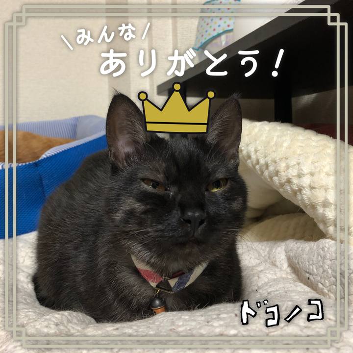 D2924540 1ef3 4d82 8757 dac7fab215aa 1623184563812