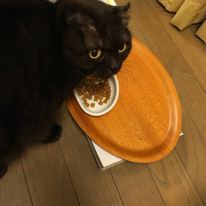 D2924be5 e00b 4a49 a3dd f37749cb3ca5 1511876418787