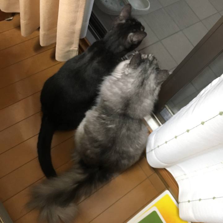 D292634f 906b 40fe a34b f504152c7a88 1563070205085