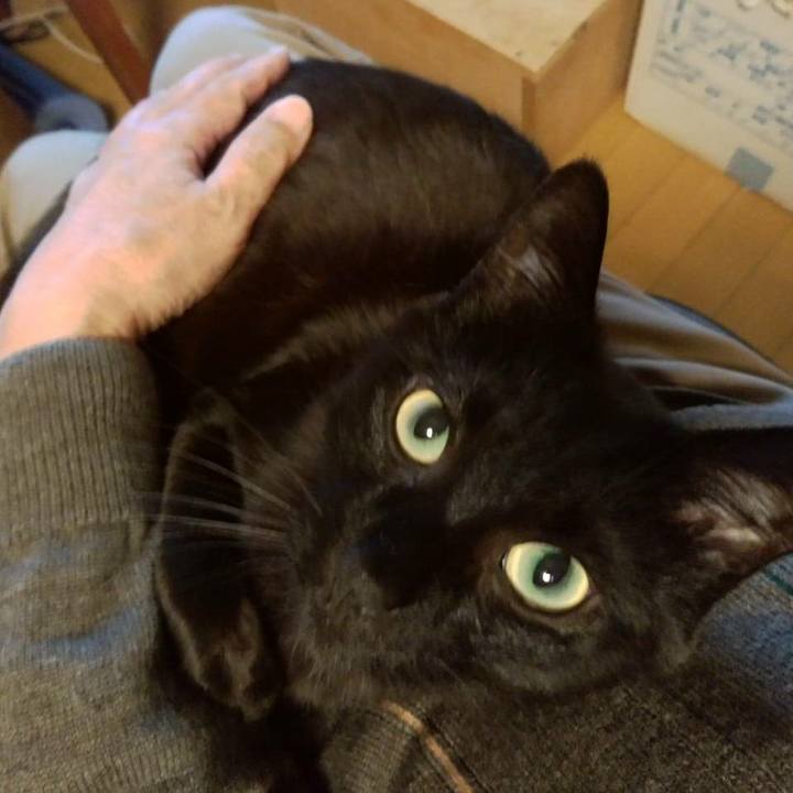 D2926d12 94c9 42ee bd7a 09080057811c 1608122202394