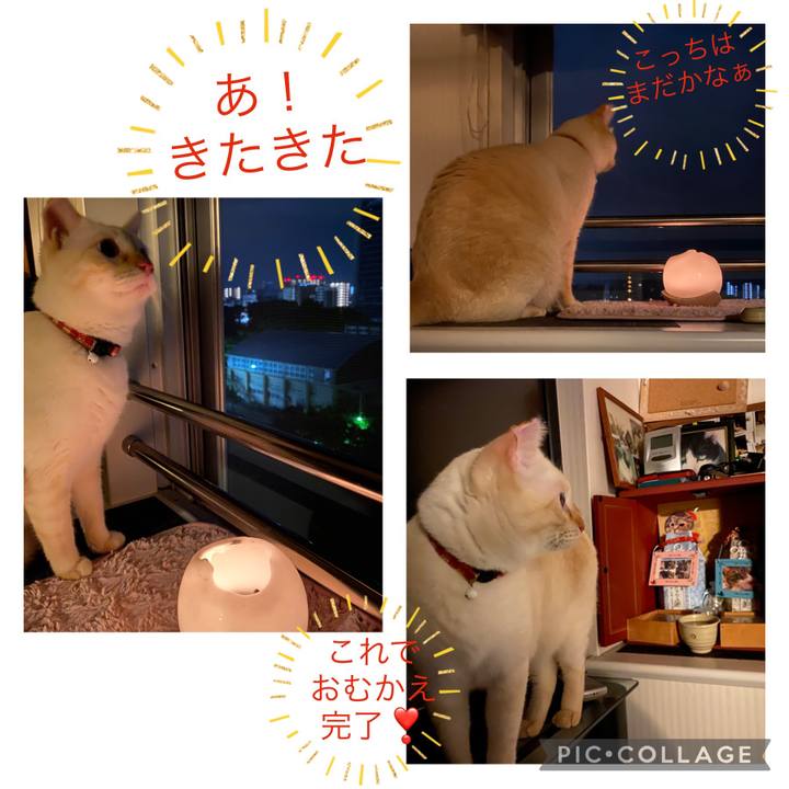 D2929a75 988b 4c76 8d88 99ebf8623d13 1660413397071