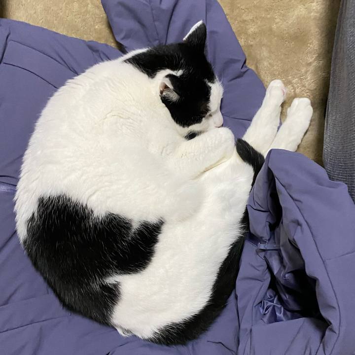 D2929f07 a5e7 4f07 bcdc f61dae1c8ad4 1669208908490