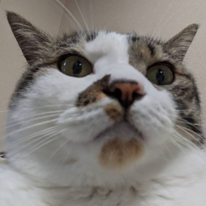 D292b6ea 6420 4483 9f74 e615c193a1b1 1686626020242