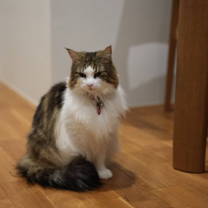 D2934f2c 7fa6 401e a822 8781e0c0f257 1701856688726