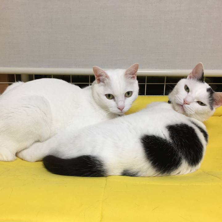 D2936bf0 6991 49e1 bfb5 538c657dbdc9 1567175704303