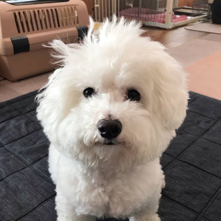 D293855c 164e 4eee bea7 df83e6b3db35 1569975490364