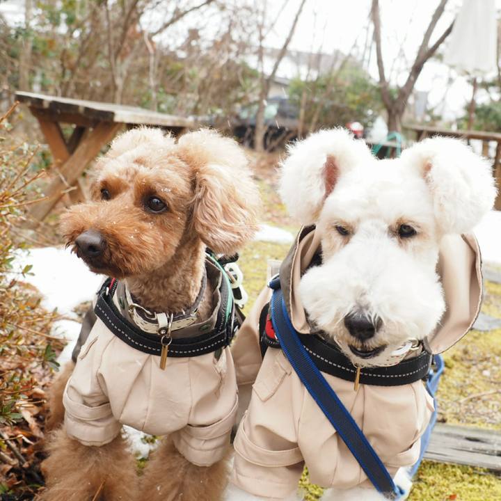 D2938748 39f8 47dd a0a7 dd0d6e3cbec3 1518334598395