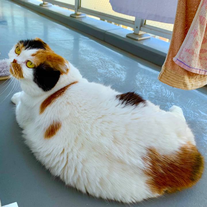 D293899b 0bb4 4244 8fa5 0be703dfac59 1562659483900