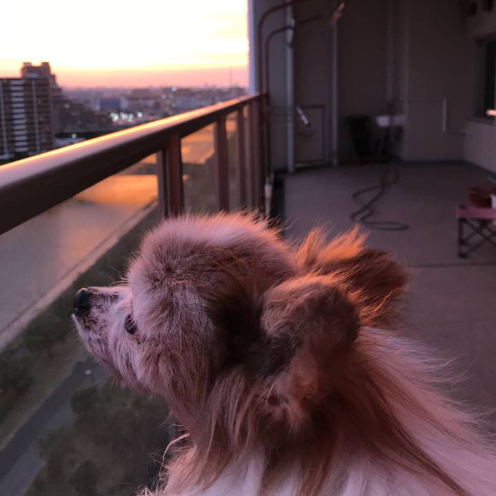 D29391d8 1666 46c3 bff2 a18c572a3530 1532686129032