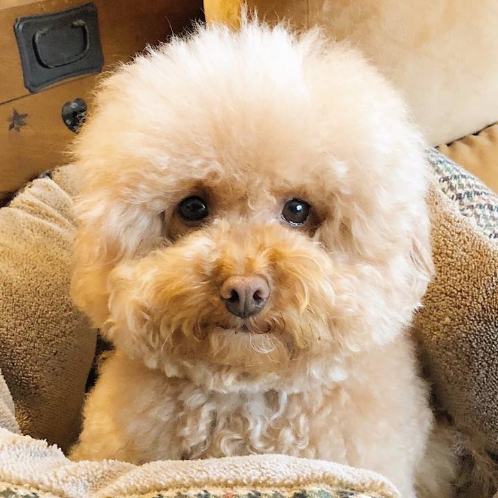 D2939b12 c981 4d4a 930b 2d051f4ef122 1515560400990