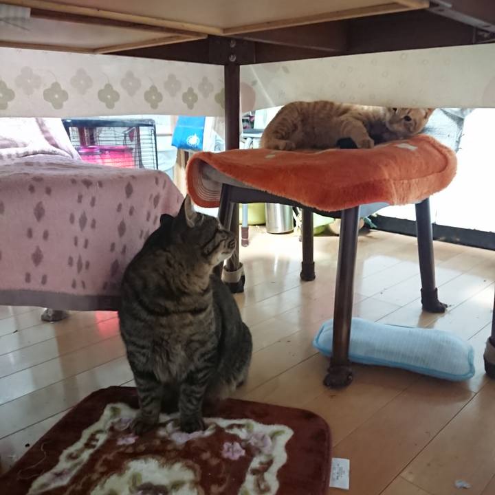 D293d586 7c5e 468d 92ff 16b6243bbd9a 1639773822257