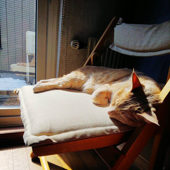 D293fd5c 4b20 4ef6 8a84 ef458b328e38 1649476799846