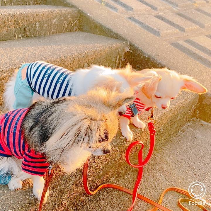 D2942c61 d557 497d 9c77 1d89b9f347e2 1632748333409