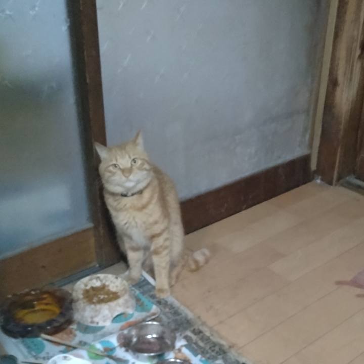 D2945639 370a 4686 851e f8ebd2bd078f 1668724172172