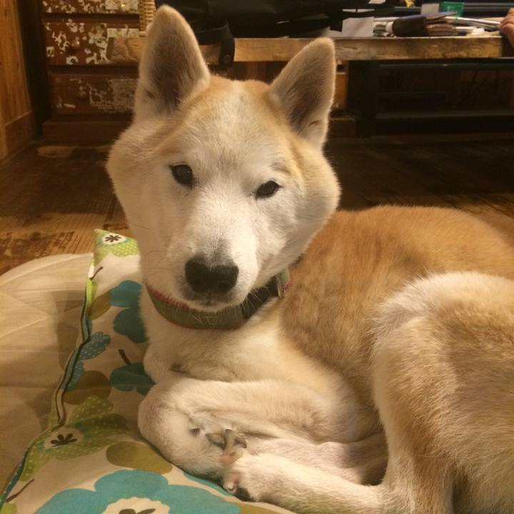 D2946597 0a9e 4ecf 8550 ccf680b83efd 1569420485400