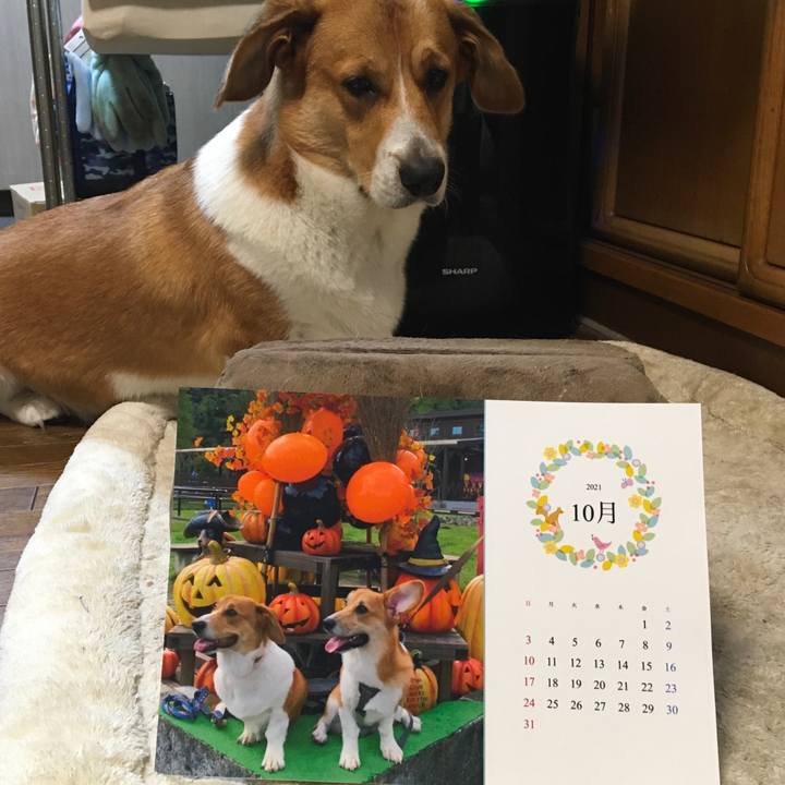 D2947e4a 7b97 4d8b 871f 488876ce8423 1633046375730