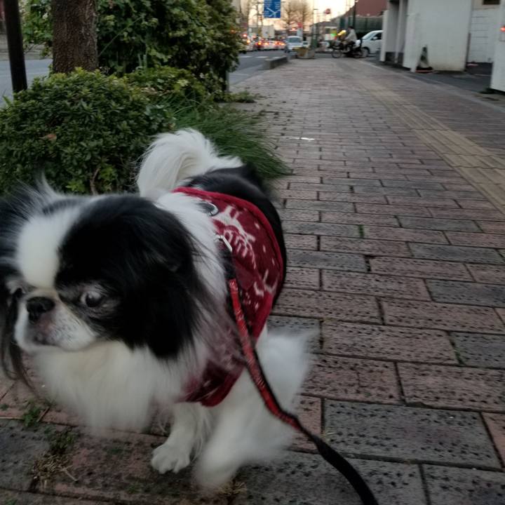 D2949825 6eed 48e7 98cc 142ba3f166ca 1544872311044