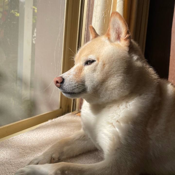 D29511b6 90b2 4a60 ab3e d0f5df72a61f 1714689517441