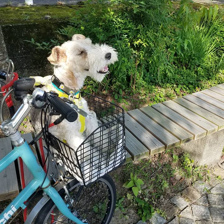 D2952cee 9d7f 482d b5ae 3a6b1342d350 1531530832476