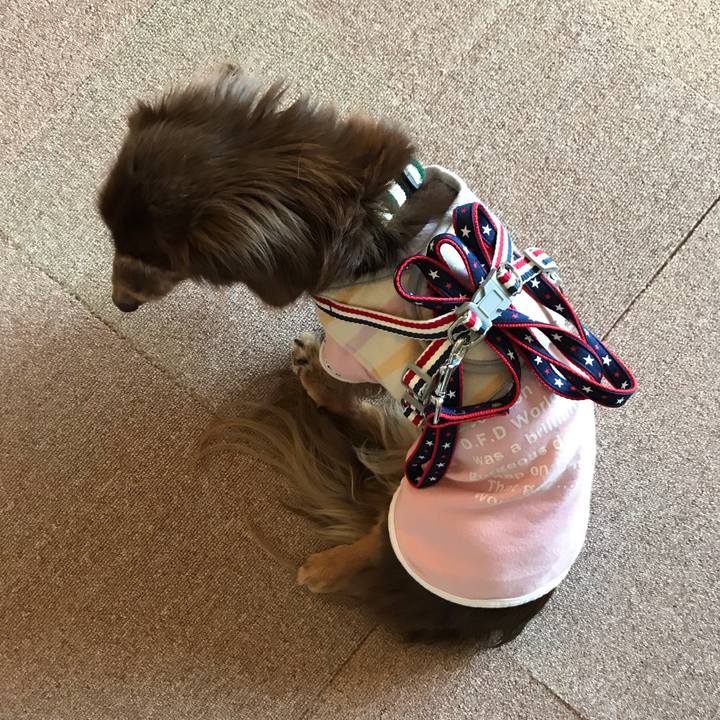 D295417a b331 4d89 a833 58b670c9776a 1583392396593