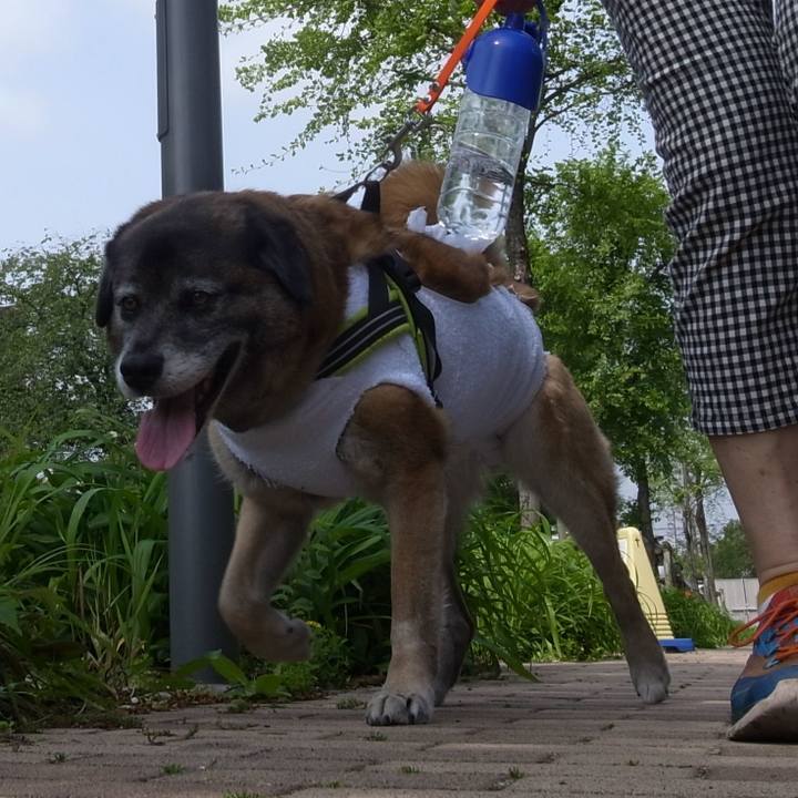 D2954c97 dc34 4424 8bfa c85406ad5897 1585832584017