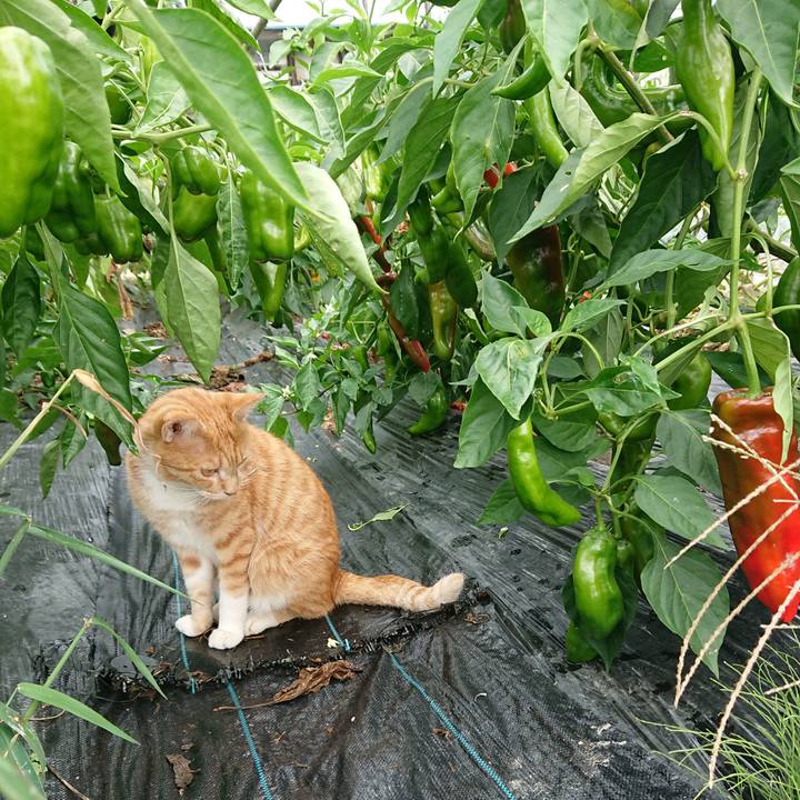 D295549e 0982 4196 9737 d1d6546fa509 1569203301276