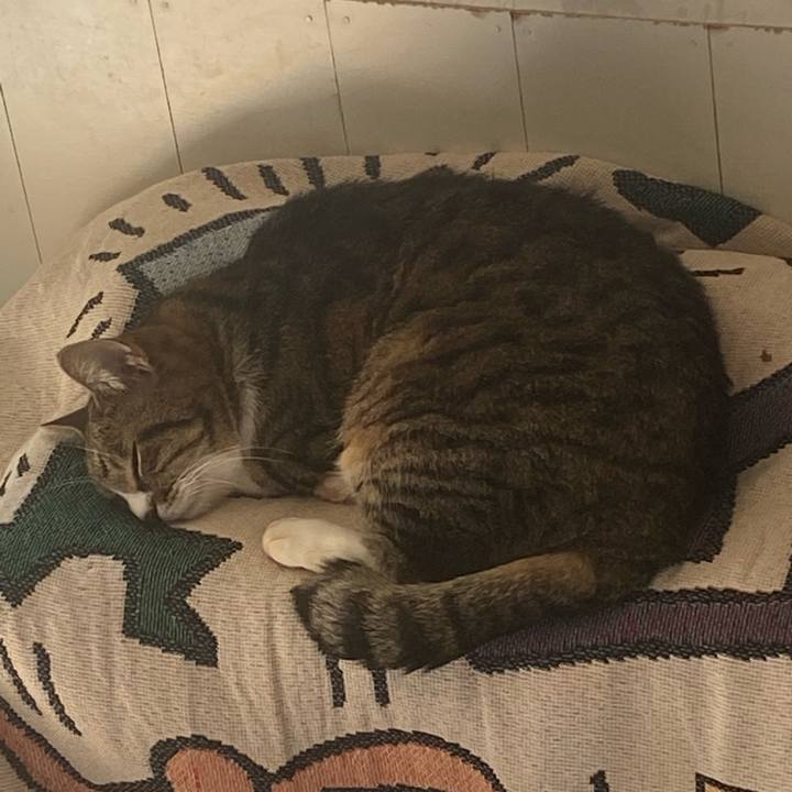 D295789c dbbd 43df 96ba bb9af3616a6b 1708741576672