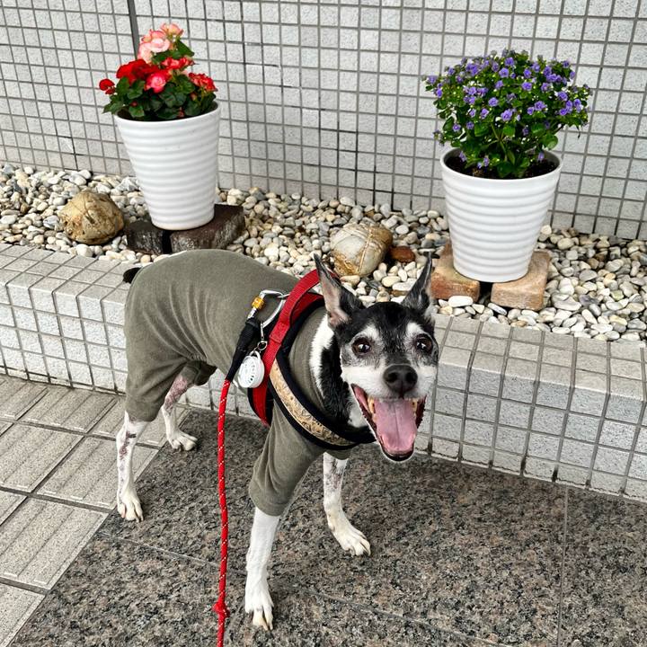 D2958822 ffc2 41d8 b0f1 2e0cebc3217f 1655763577900