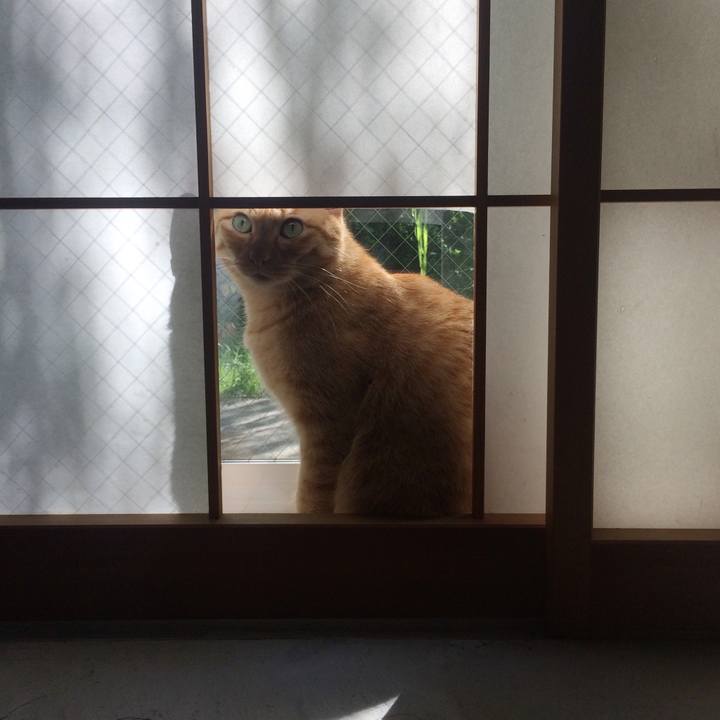 D2958ea1 abdc 4082 80b8 7480928912d3 1567814770314