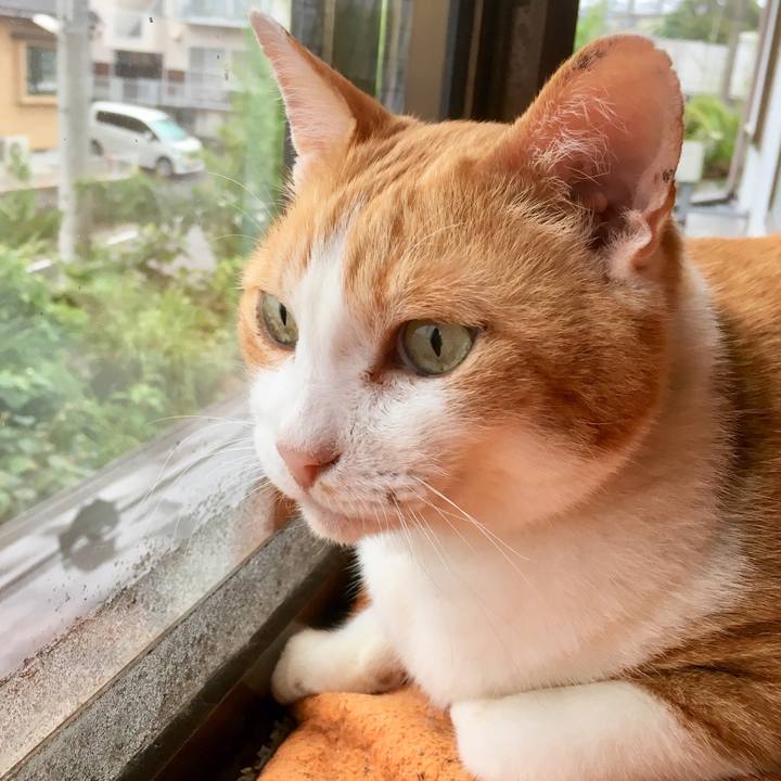 D295967e 07c8 45b4 861b 8d9c71054ed1 1563267694342