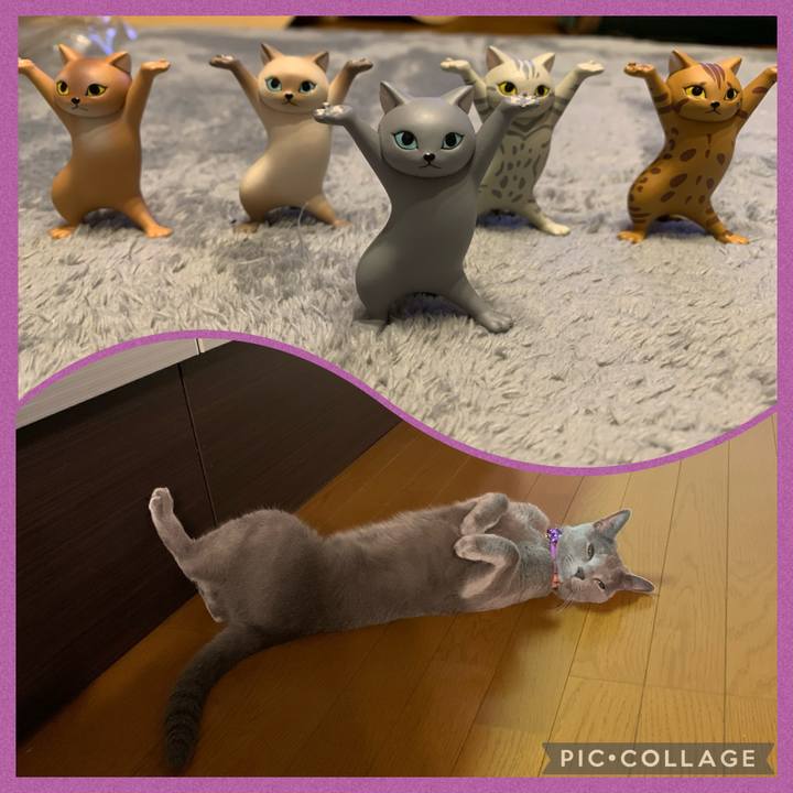 D295babf 450c 40f3 b2e3 68aa2f2bb759 1630836379741