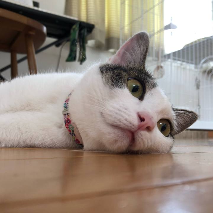 D295e5b3 271f 4347 b624 adb4b87a1500 1595236857428