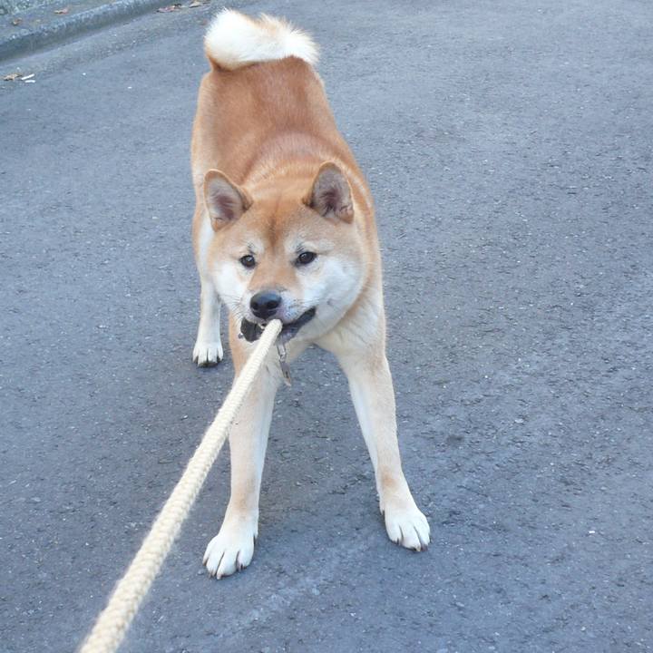 D29651d8 7735 45d6 b712 50b2f9c75120 1612862192059