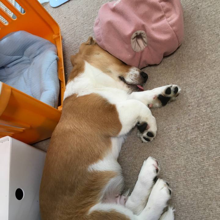 D2965aa9 cdae 48c8 bdf1 c4765ba47a47 1592874097837