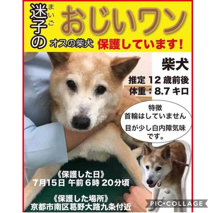 D2965d19 1146 4972 bfb9 13c5226c6929 1563667878088