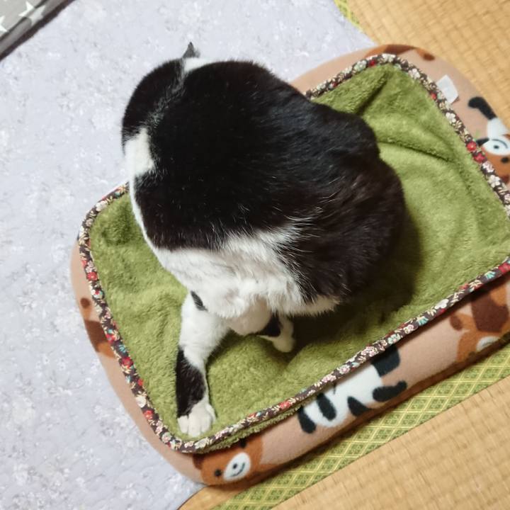 D296619f 7edd 471e a781 f5cf1ef7f5dc 1611040040115