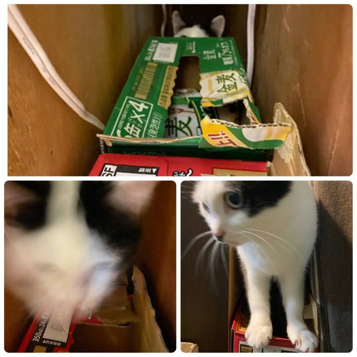 D2969892 4c63 4bd9 8a60 20203d1636a3 1621985984825