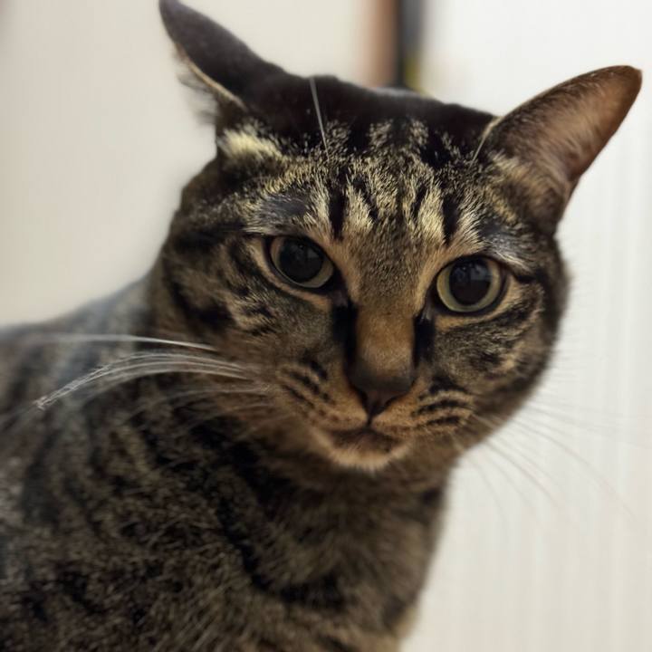 D2969a29 71bb 4e20 b80d a314fe1299d9 1712578251946