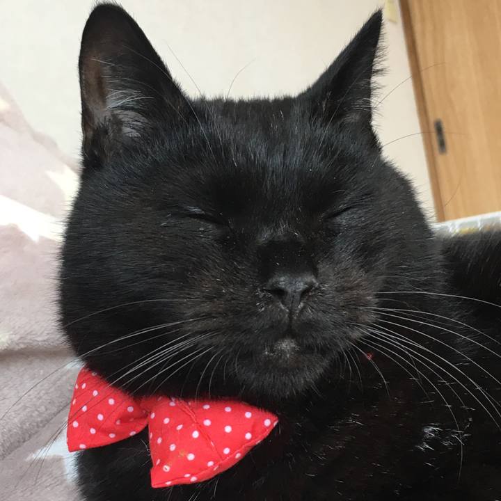 D296b121 bc4e 4307 aeed aaf9998bf15a 1545615060741