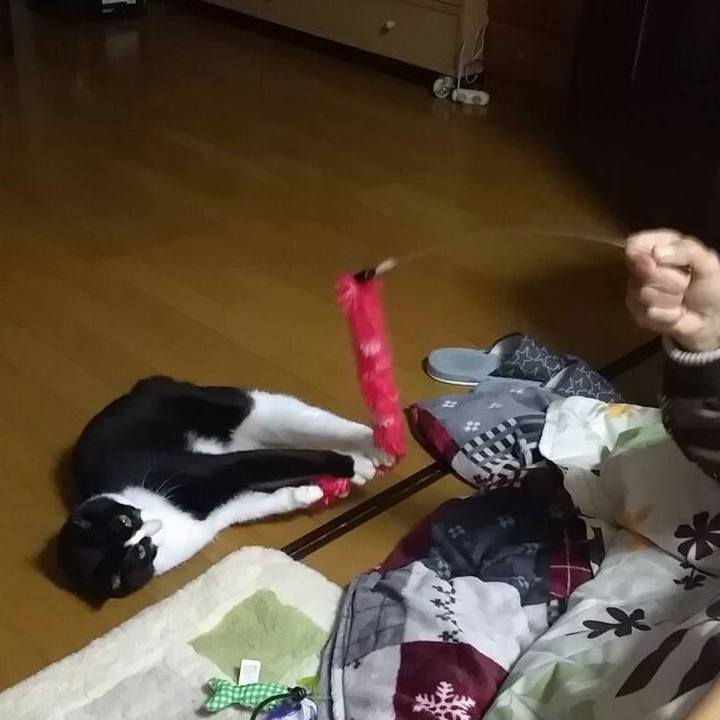 D296f577 122c 4c5c 959a 316d92bd3001 1552312334903