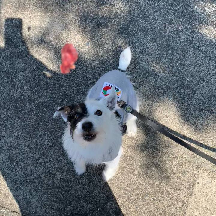 D29738e2 d589 46eb a804 8174f648e082 1686876594710