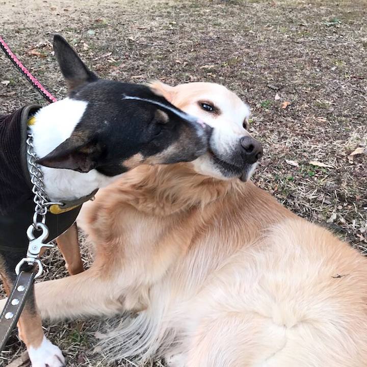 D2974b96 3122 4f10 a73a 922f9dfe9e5a 1517651913926