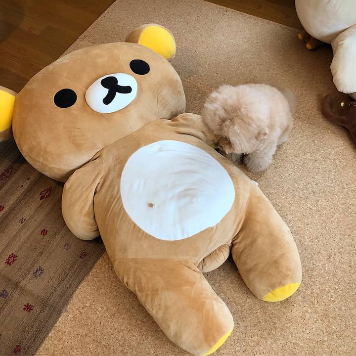 D2977103 0f98 4c48 a504 d4fbad147b68 1530264912873