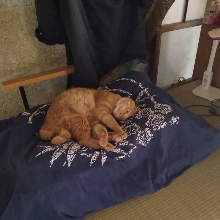 D29773bd dd30 4b1f b5ce 6ed9df55505c 1691883928850