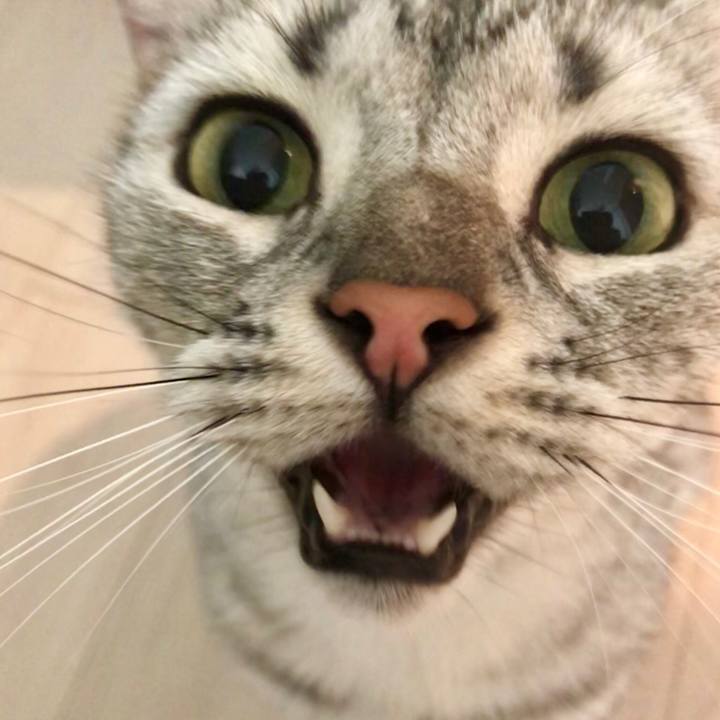 D297b520 86c5 4a03 bb51 04f871a2076d 1536881030389